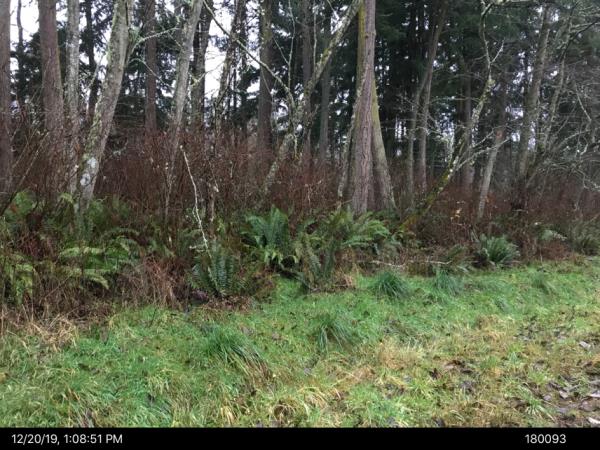 Island County Assessor & Treasurer Property Details 314 PHIBBS