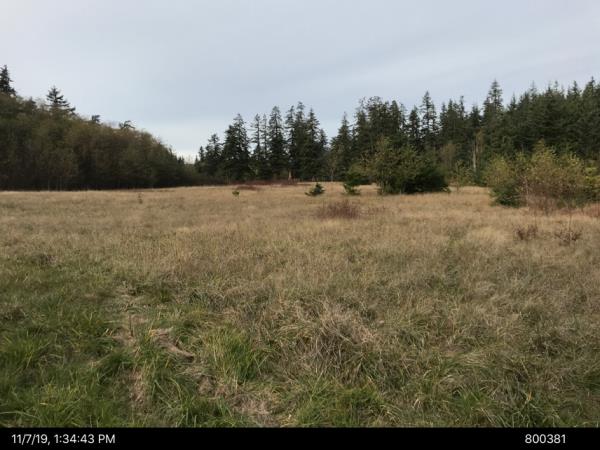 Island County Assessor & Treasurer Property Details 112 MERRILL